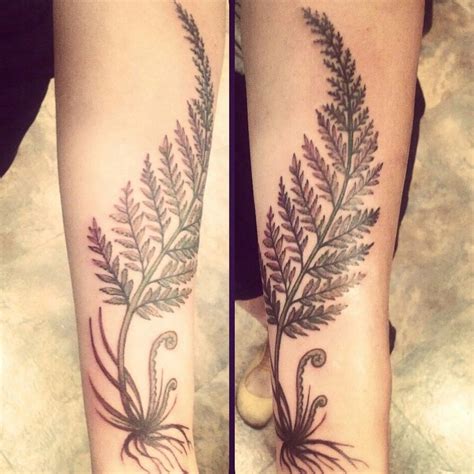 Pin by Josh Hughes on Nature tattoo | Fern tattoo, Tattoos, Forearm tattoos