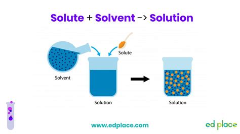 Year 7 Science Lesson: Solute, Solvent, Solution - EdPlace - YouTube