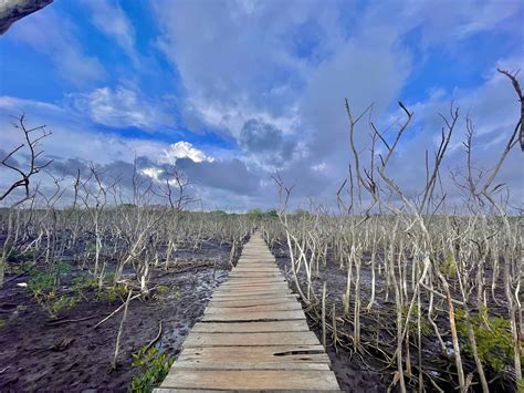 Playa Avellana - Your Costa Rica Adventure