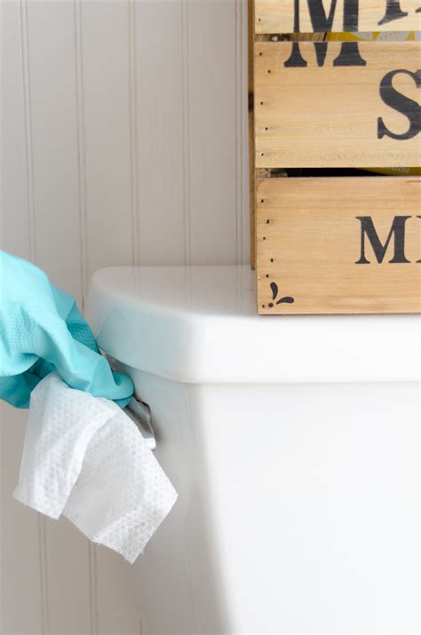 Spring Cleaning: How to Clean a Toilet