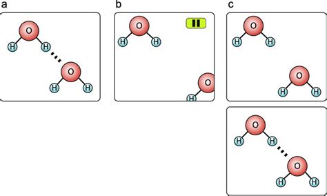 5 Animations showing hydrogen bonds between molecules of water. Example... | Download Scientific ...