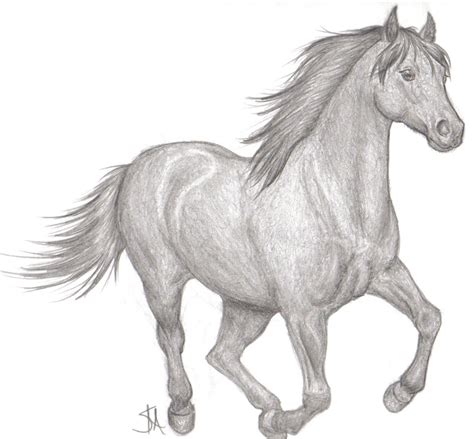 Horse pencil png - mathfopt