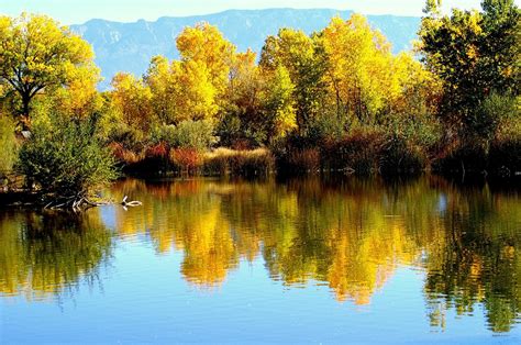 Rio Grande Nature Center State Park (Albuquerque) - Lohnt es sich?