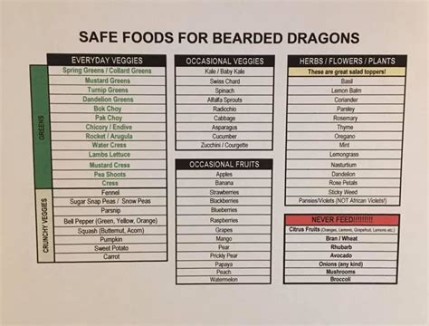 Bearded dragon food chart