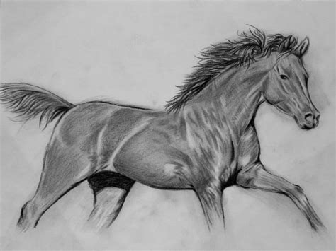 Horse Sketch Drawing Step By Step : Horse Drawing Step Draw Line Drawn ...