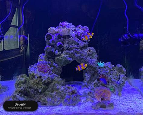 Waterbox Aquariums REEF