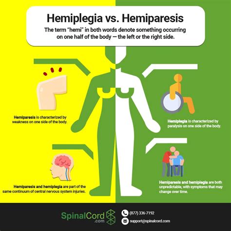 Hemiplegia vs Hemiparesis: Causes, Symptoms, and Treatment