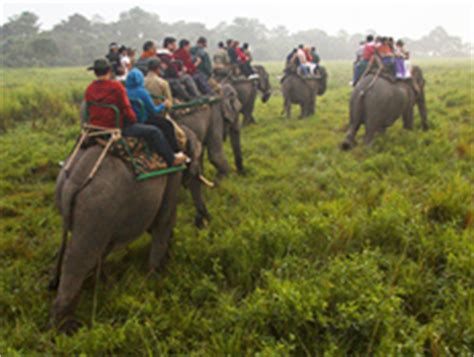 Elephant Safari in Kaziranga | Elephant Safari Tour Packages Kaziranga