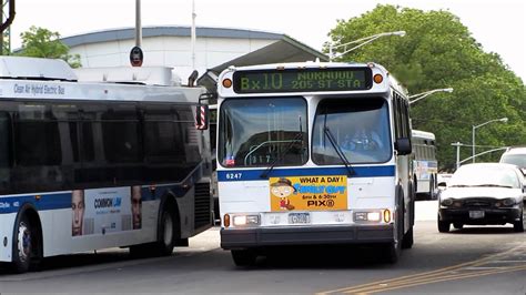 Buses in the Bronx, NYC (MTA and Beeline) - YouTube