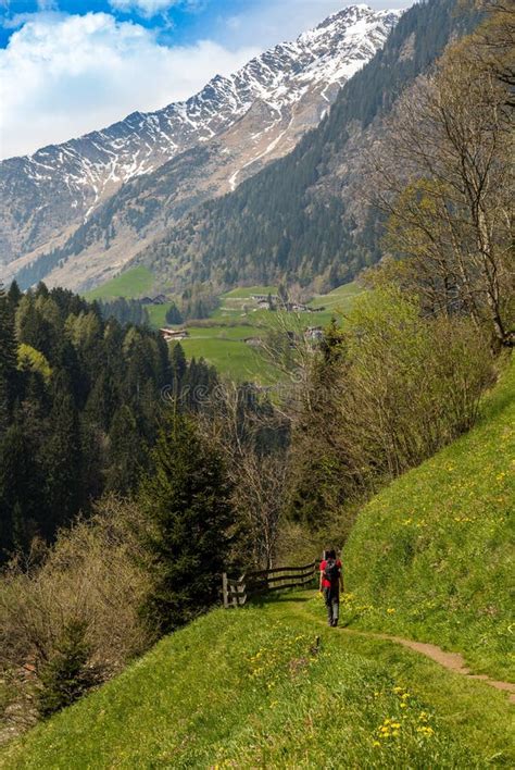 Hiking in South Tyrol stock image. Image of mountains - 72736159