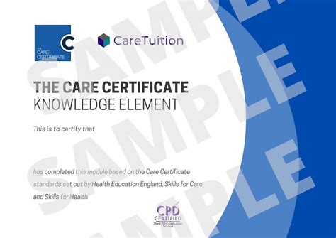 Learn to be a Caregiver: Certificate in Care - CareTuition