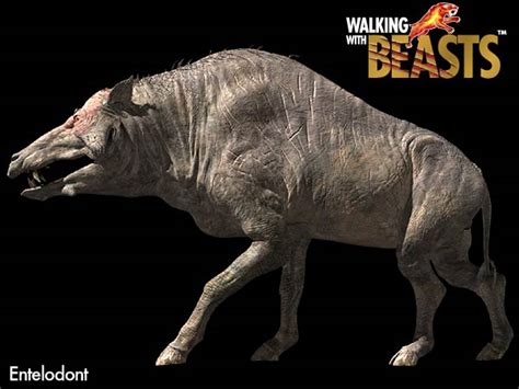 Image - Entelodont.jpg - Walking with Dinosaurs Wiki