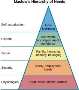 Humanistic Approach | Adolescent Psychology