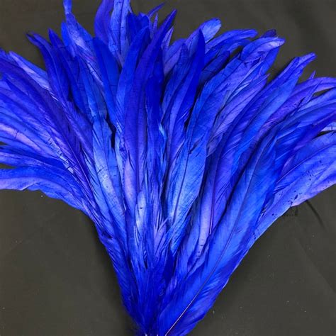 Blue Feathers - Etsy