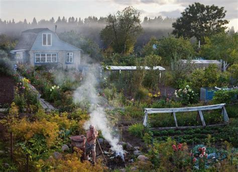 Dacha gardeners feeding the Russian nation