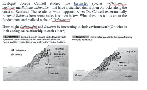 Solved Ecologist Joseph Connell studied two barnacles | Chegg.com