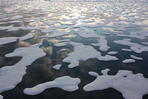 The Global Impacts of Rapidly Disappearing Arctic Sea Ice - Yale E360