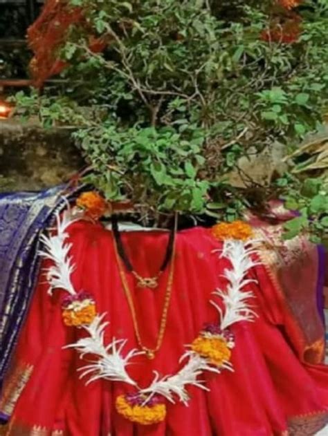 Tulsi Vivah 2023: Date, Significance, Rituals and More