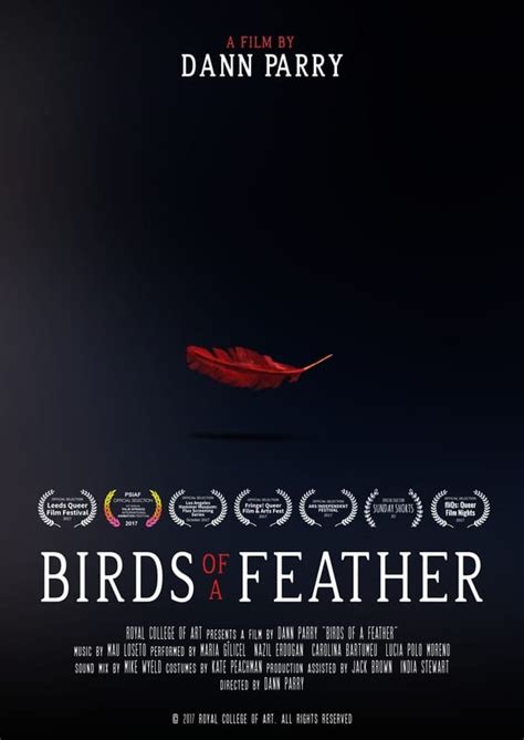 Birds of a Feather (2017) - Posters — The Movie Database (TMDB)