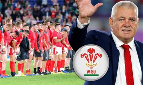 Warren Gatland 'proud' despite South Africa ruining hopes of fairytale ...