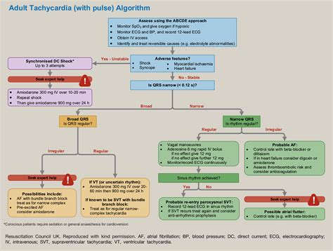 Cardiac arrhythmias in the critically ill - Anaesthesia & Intensive Care Medicine