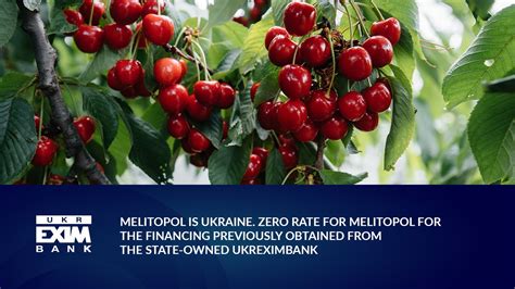 Melitopol is Ukraine. Zero rate for Melitopol for the financing ...