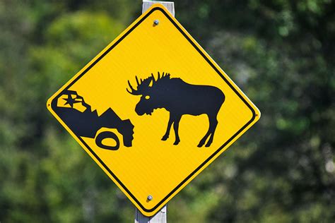 6 Road Signs From Around the World You Won't See in the U.S. - Interesting Facts