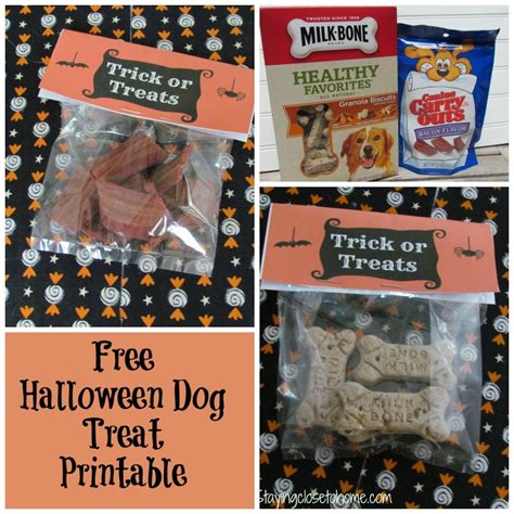 DIY Halloween Pet Treat Bags - Close To Home