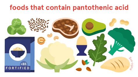 Pantothenic Acid, Vitamin B5, Benefits, Food Sources, Side, 40% OFF