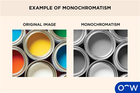 A Comprehensive Guide to Different Types of Colour Blindness