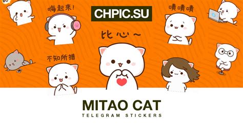 🐾 mitao cat 🐾 Telegram video stickers