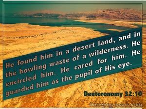 Deuteronomy 32:10 “He found him in a desert land,And in the howling waste of a wilderness;He ...