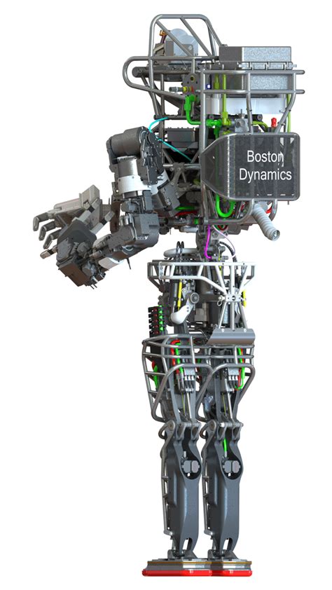 Atlas, A Six-Foot-Tall Humanoid Robot With Articulated Hands and Joints ...