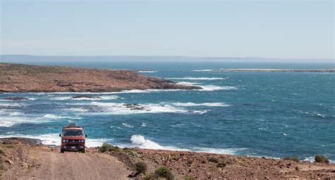 Penguin Love on Argentina’s Atlantic Coast | Live. Travel. Play.