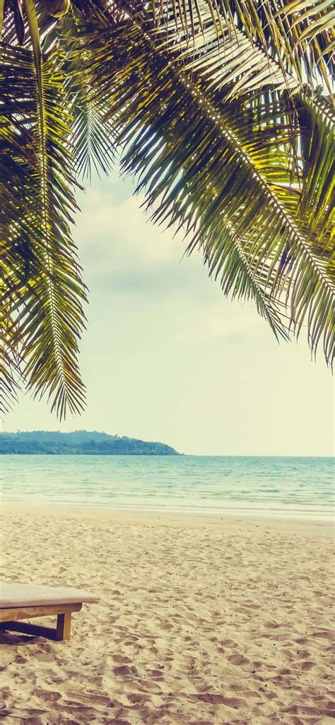 Download Relaxing Beach Holiday Wallpaper | Wallpapers.com