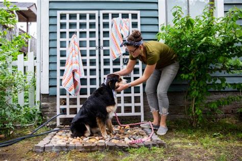 DIY Outdoor Dog Shower | HGTV