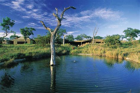 Sabi Sabi Earth Lodge – Sabi Sands Game Reserve