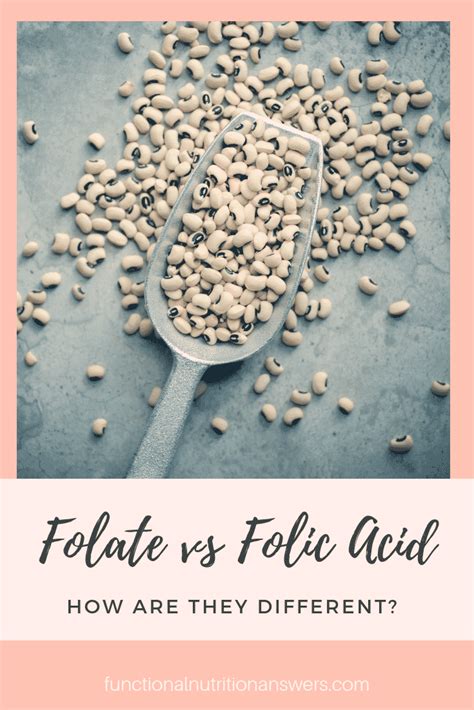 Folate vs Folic Acid: How Are They Different? (Why you should care!)