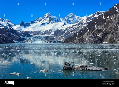 USA, Alaska, Johns Hopkins Glacier in Glacier Bay Stock Photo - Alamy