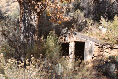 Sego Utah ghost town Ghost Towns, Abandoned Places, Utah, Tree Trunk, Plants, Ruins, Plant, Ruin ...