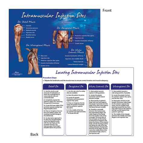 Intramuscular Injection Sites TearPad™ – Nasco Healthcare