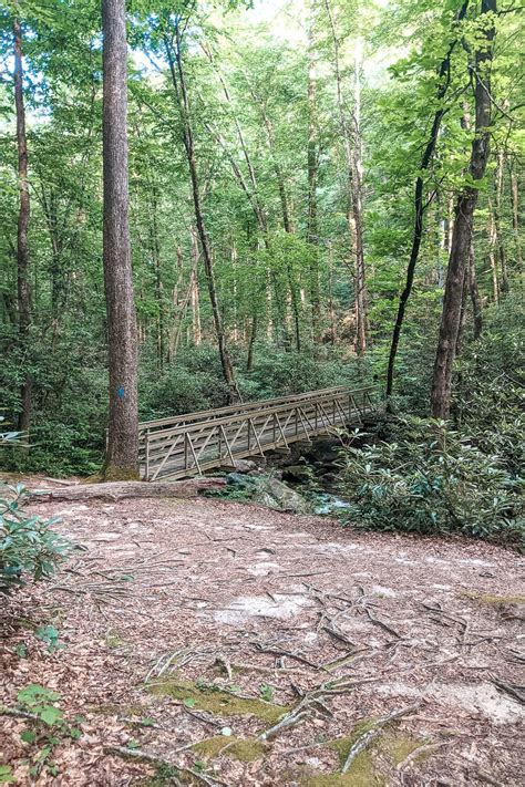 Hike to the Jones Gap Waterfall in Jones Gap State Park [Trail Guide]