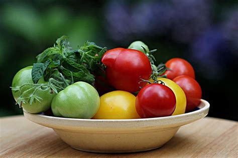 How and When to Harvest Tomatoes