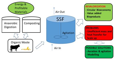 Processes | Free Full-Text | Solid-State Fermentation from Organic ...