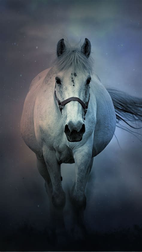 White Horse Running 4K Ultra HD Mobile Phone Wallpaper