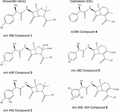 Scheme 3 Chemical structures of antibiotics amoxicillin (Amx) and ...