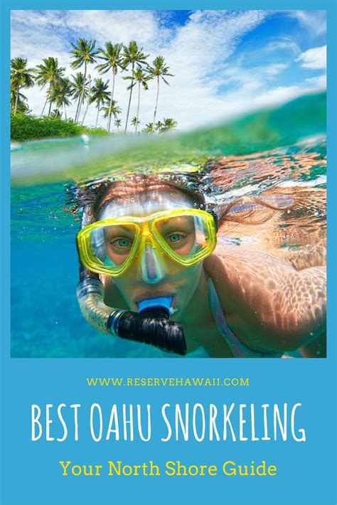 The Best Snorkeling in Oahu: Your North Shore Guide | Best snorkeling ...