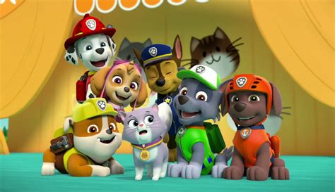 Image - The Cat Show 45.jpg | PAW Patrol Wiki | FANDOM powered by Wikia