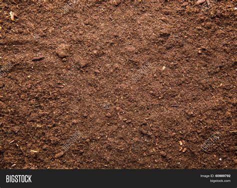 Soil Background Image & Photo (Free Trial) | Bigstock