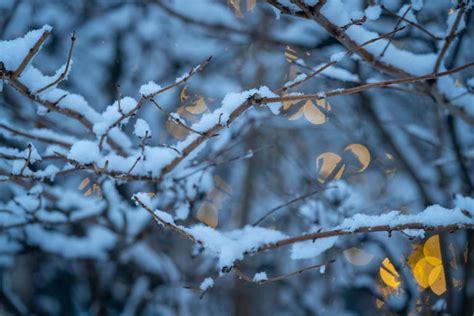 Storm expected to dump 6-8 inches of snow in Michigan, weather ...